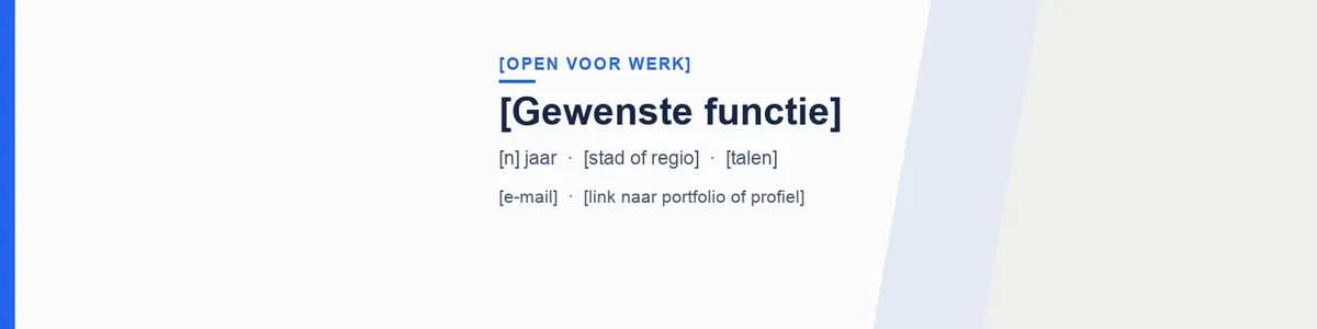 LinkedIn-profielkit, pagina 3
